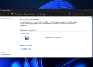 Windows 11 BitLocker issue