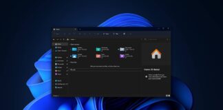 Windows 11 File Explorer issues in 24H2