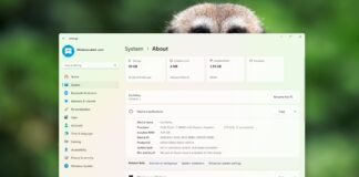 Windows 11 System Settings UI