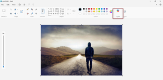Paint copilot button