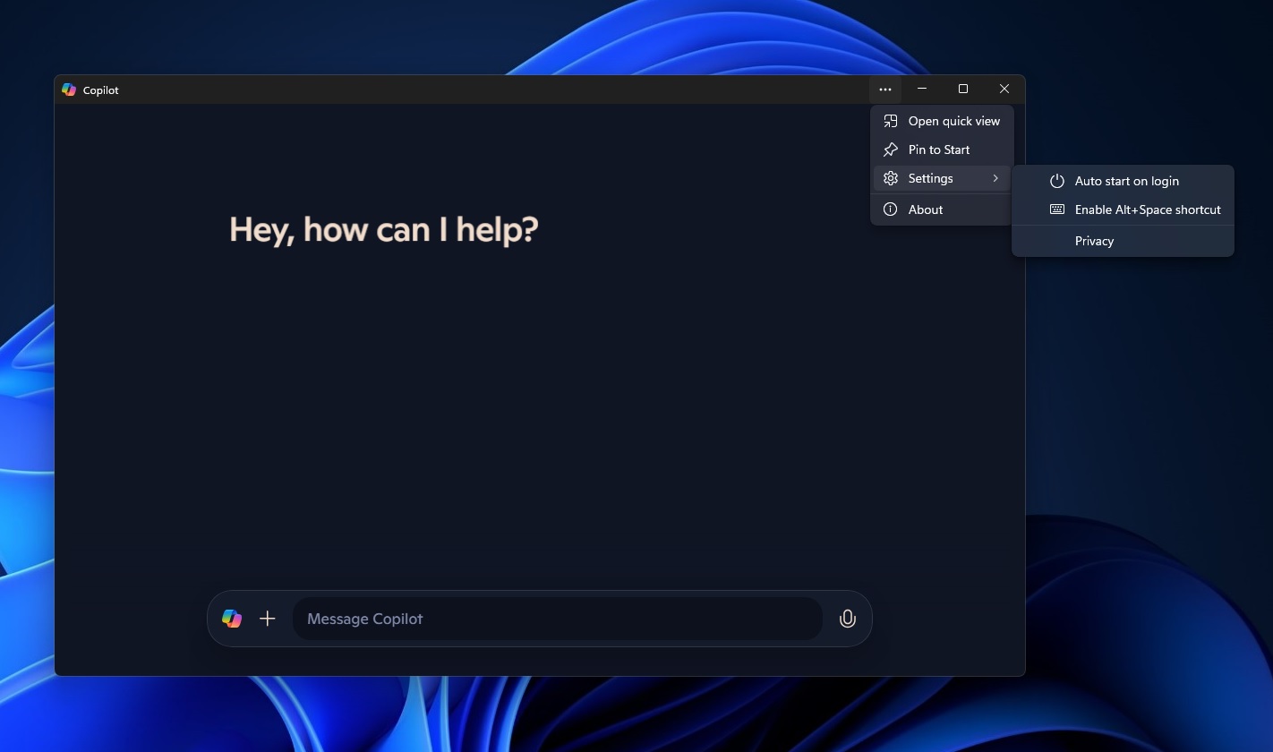 Auto start on login in Copilot