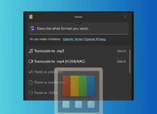 Windows 11 PowerToys transcode feature