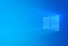 Windows 10 market share