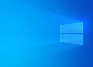 Windows 10 market share
