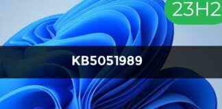 Windows 11 KB5051989 23H2