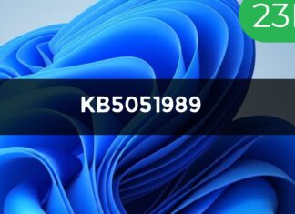 Windows 11 KB5051989 23H2