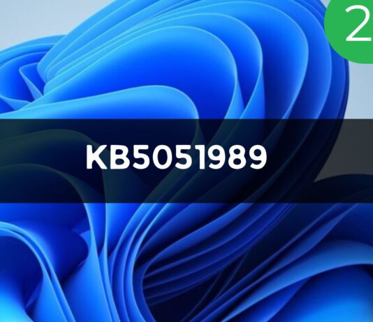 Windows 11 KB5051989 23H2