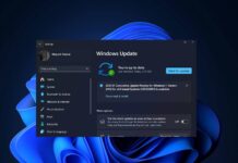Windows 11 update issue with Adobe Premiere Pro
