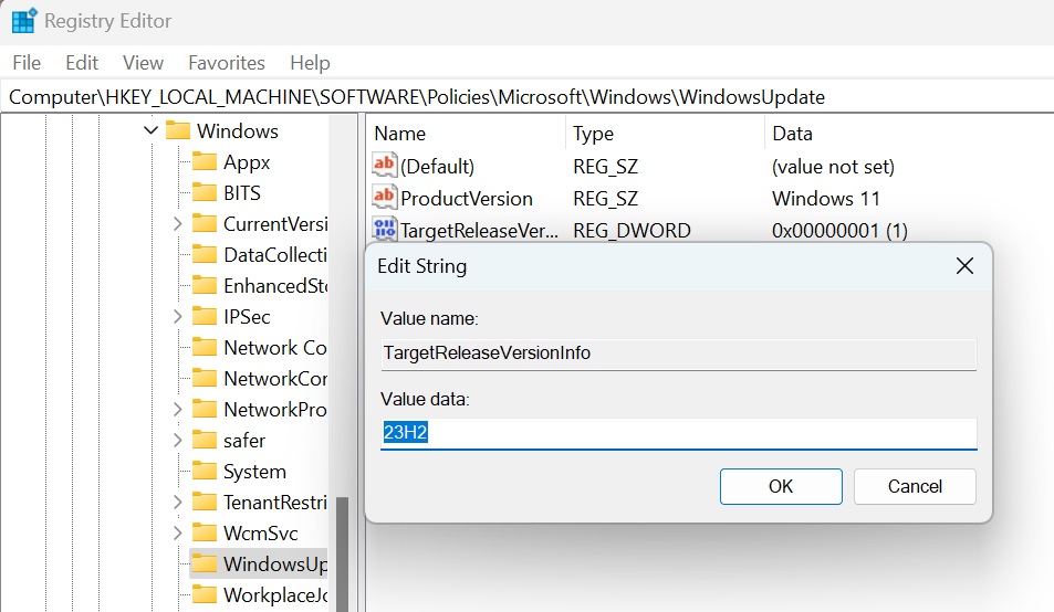 Set target release in Windows Registry Editor