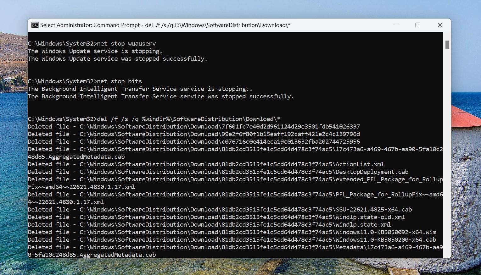 stopping update services and deleteing 24h2 update files in windows 11 23h2