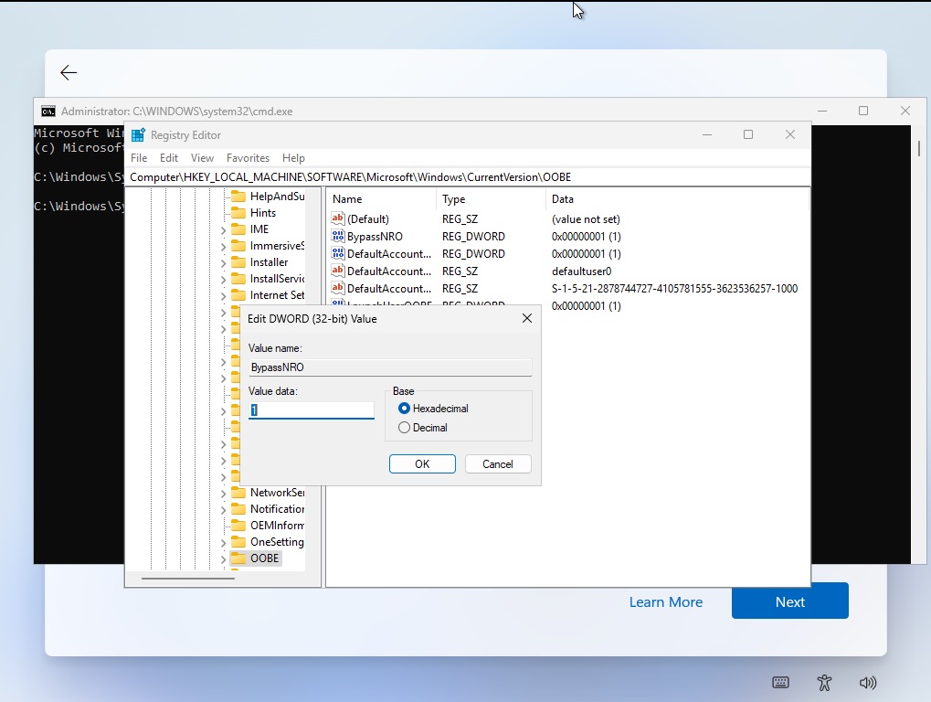 BYPASSNRO Registry Value