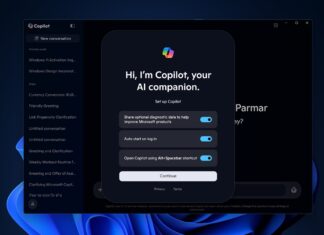 Copilot app for Windows 11
