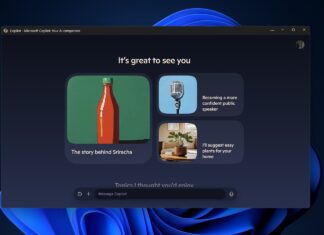 Copilot app for Windows 11 fixed