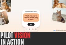 Copilot vision