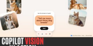 Copilot vision