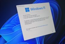 Windows 11 24H2 Remote Desktop Platform RDP issues