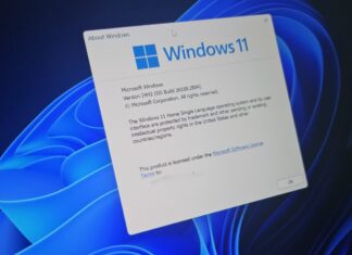 Windows 11 24H2 Remote Desktop Platform RDP issues