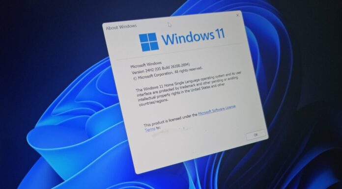 Windows 11 24H2 Remote Desktop Platform RDP issues