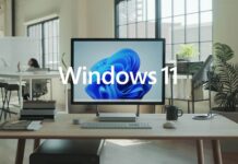 Windows 11 printer issue printing random texts
