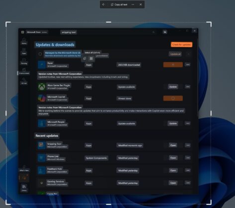 Copy text from Windows 11 screen