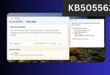 Windows 11 Build 26100.3902 for 24H2