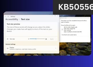 Windows 11 Build 26100.3902 for 24H2