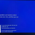 Windows 11 Critical Process Died BSOD