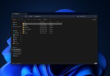 Windows 11 KB5055523 inetpub issue