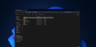 Windows 11 KB5055523 inetpub issue