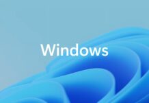 Windows 11 SAPLogon crashes with ntdll