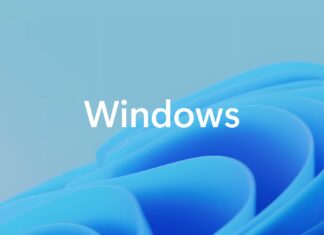 Windows 11 SAPLogon crashes with ntdll
