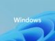 Windows 11 SAPLogon crashes with ntdll