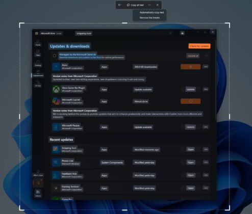 Windows 11 auto copy texts