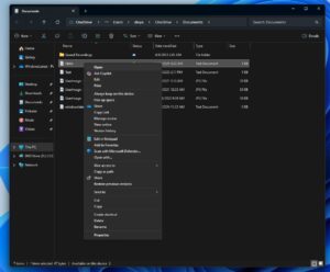 Windows 11: Microsoft is adding Ask Copilot to right-click menu, how to ...