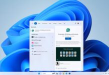 Microsoft Store in Windows Search