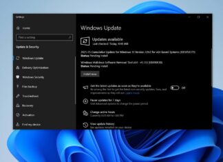 Windows 10 KB5058379 update