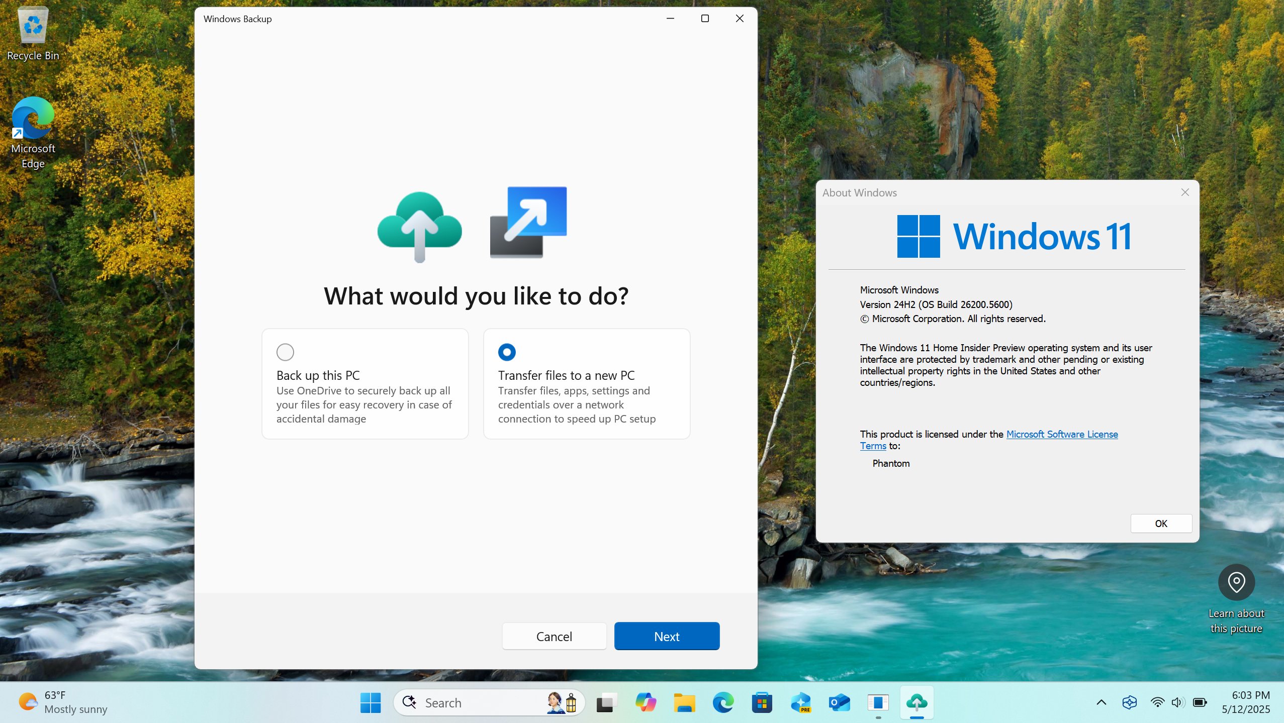 La aplicación de copia de seguridad de Windows es la página original