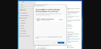 Windows 10 ESU update Windows 11