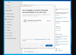 Windows 10 ESU update Windows 11