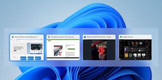 Windows 11 KB5060829 issues