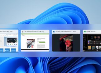 Windows 11 KB5060829 issues