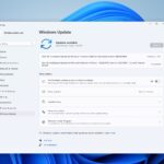 Windows 11 KB5063060 update