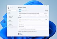 Windows 11 KB5063060 update