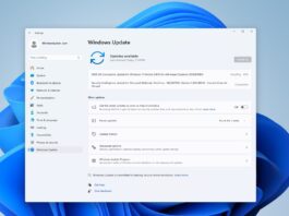 Windows 11 KB5063060 update