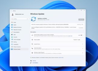 Windows 11 KB5063060 update