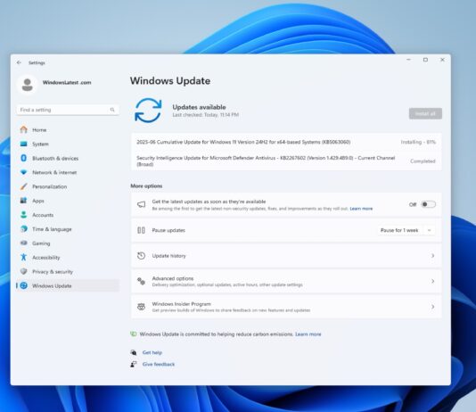 Windows 11 KB5063060 update