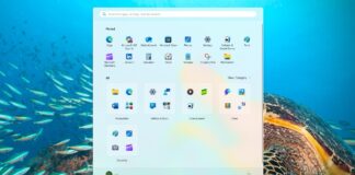 Windows 11 Start menu categories
