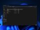 Windows 11 inetpub PowerShell script