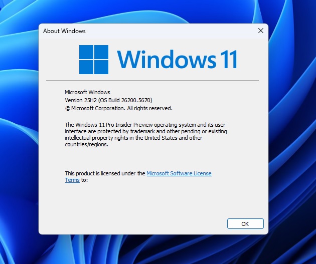 Windows 11 version 25H2 in winver