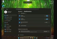 Windows 11 volume indicator position